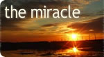 The Miracle